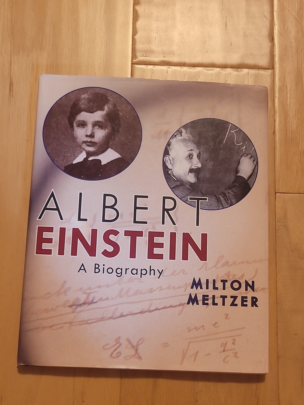 Albert Einstein: A Biography by Milton Meltzer — Cream and Red Cover